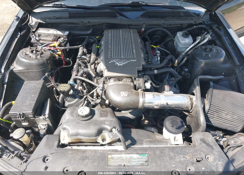 2009 FORD MUSTANG VIN: 1ZVHT82H495146300
