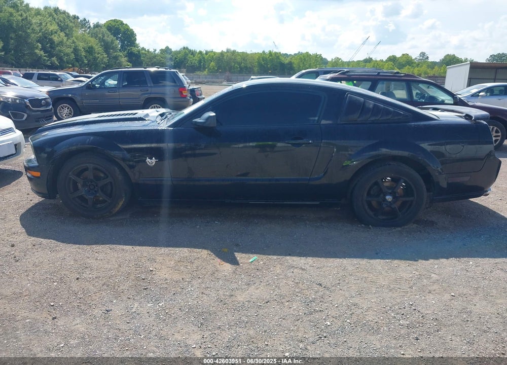 2009 FORD MUSTANG VIN: 1ZVHT82H495146300