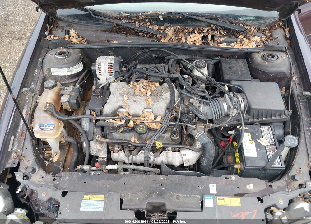 2000 CHEVROLET MALIBU VIN: 1G1ND52J8Y6143387