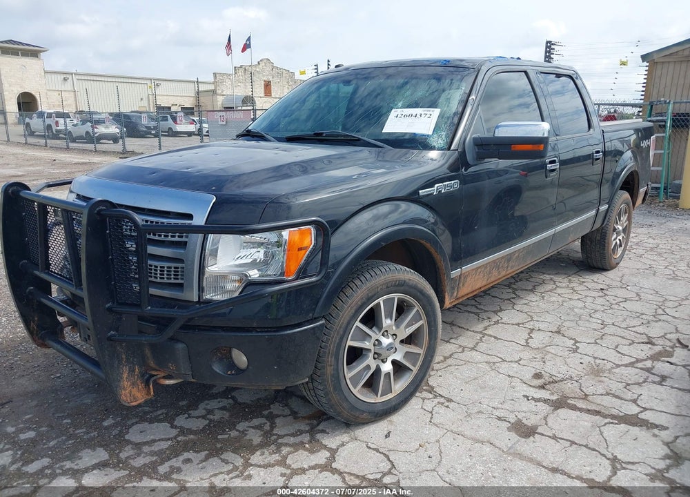 2010 FORD F-150 VIN: 1FTFW1EV0AFB44780
