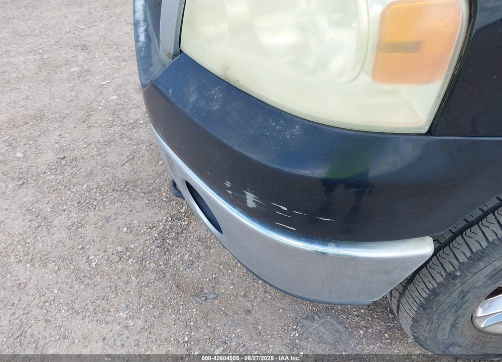 2006 FORD F150 VIN: 1FTRX14W66NA04699