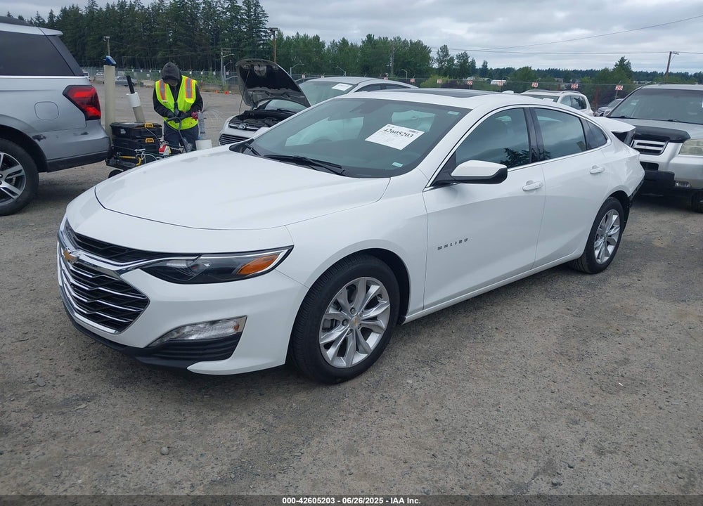 2024 CHEVROLET MALIBU FWD 1LT VIN: 1G1ZD5ST8RF124925