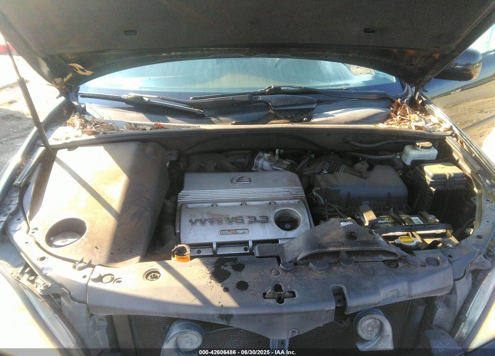 2004 LEXUS RX 330 VIN: 2T2GA31U74C006576