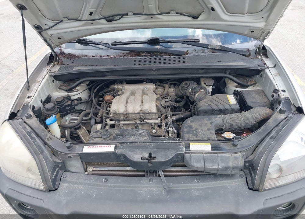 2006 HYUNDAI TUCSON VIN: KM8JN72D66U306292