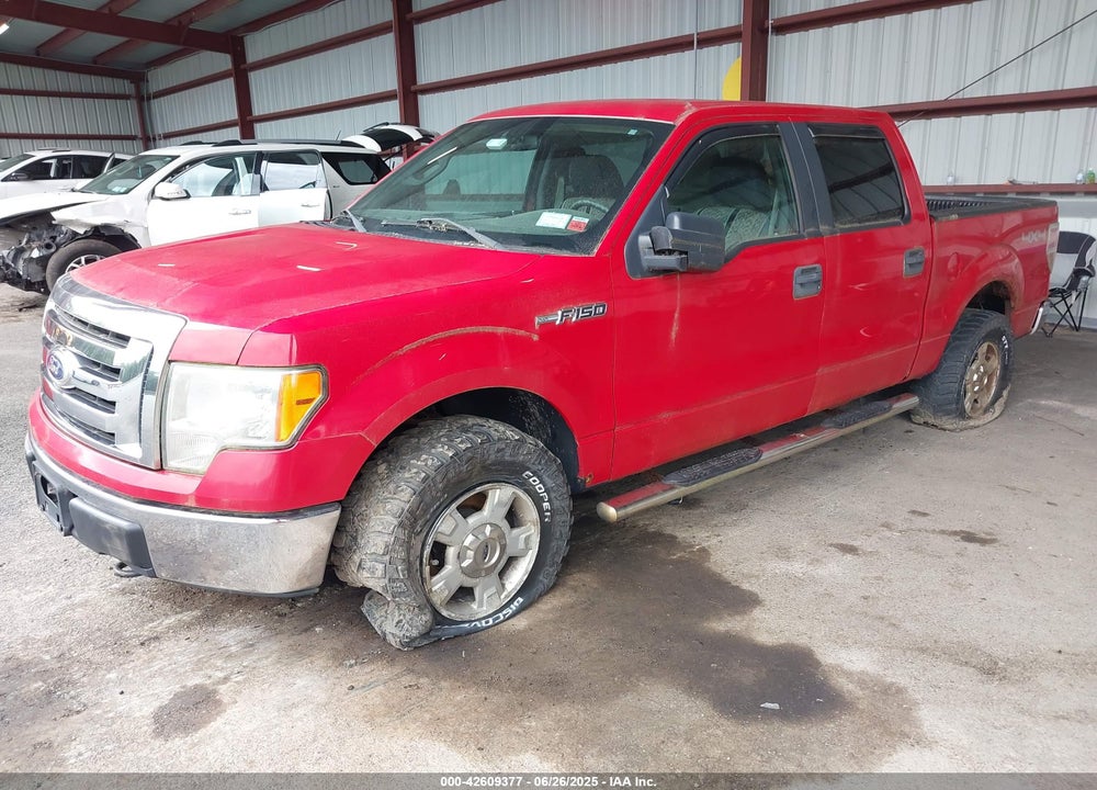 2010 FORD F-150 VIN: 1FTEW1E8XAFA60259