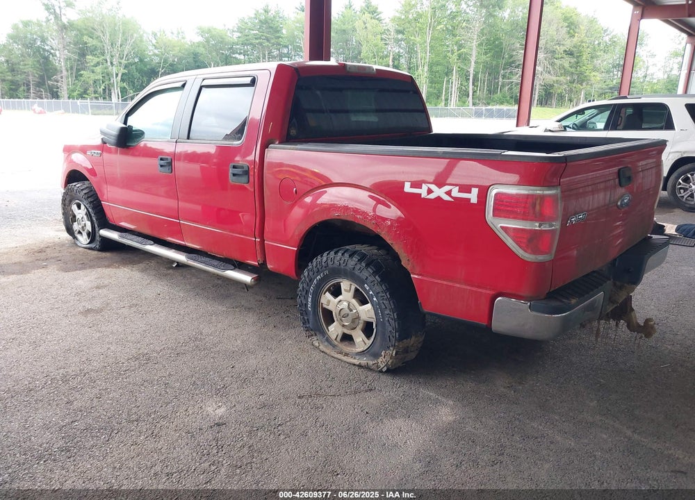 2010 FORD F-150 VIN: 1FTEW1E8XAFA60259
