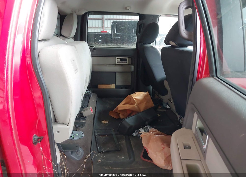 2010 FORD F-150 VIN: 1FTEW1E8XAFA60259