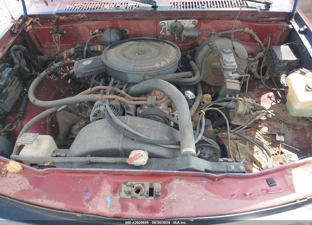 1992 DODGE DAKOTA VIN: 1B7FL23X0NS668429