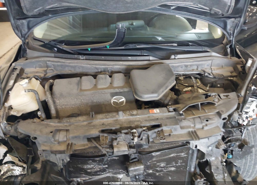 2010 MAZDA CX-9 VIN: JM3TB3MV4A0220586