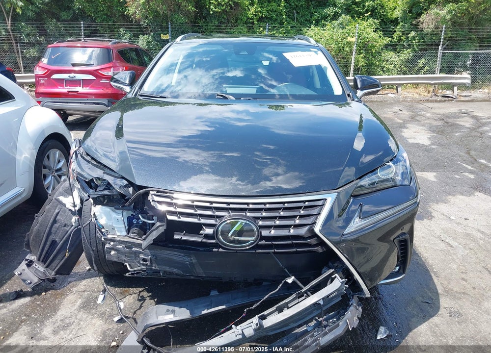 2020 LEXUS NX 300 VIN: JTJGARDZ3L5013175