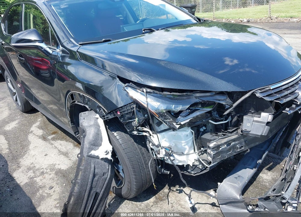 2020 LEXUS NX 300 VIN: JTJGARDZ3L5013175