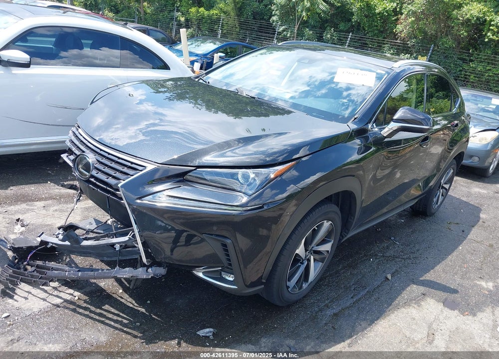 2020 LEXUS NX 300 VIN: JTJGARDZ3L5013175
