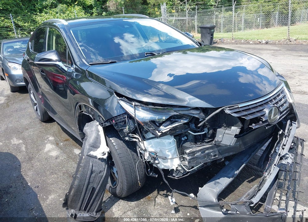 2020 LEXUS NX 300 VIN: JTJGARDZ3L5013175