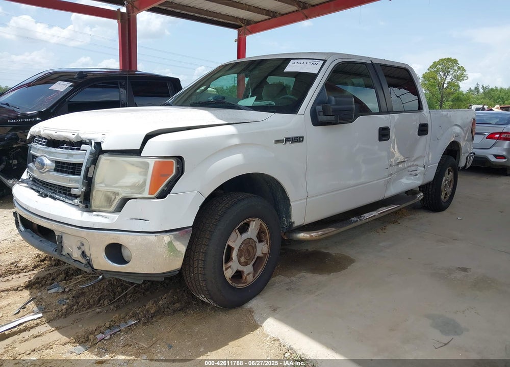 2013 FORD F-150 VIN: 1FTEW1CM1DFA62180
