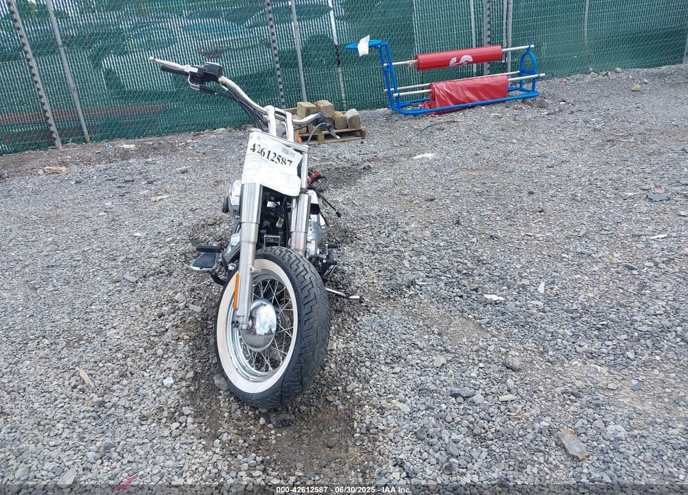 2009 HARLEY-DAVIDSON FLSTN VIN: 1HD1JD5149Y043389