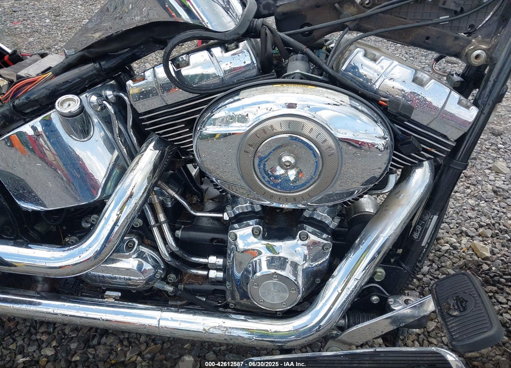 2009 HARLEY-DAVIDSON FLSTN VIN: 1HD1JD5149Y043389