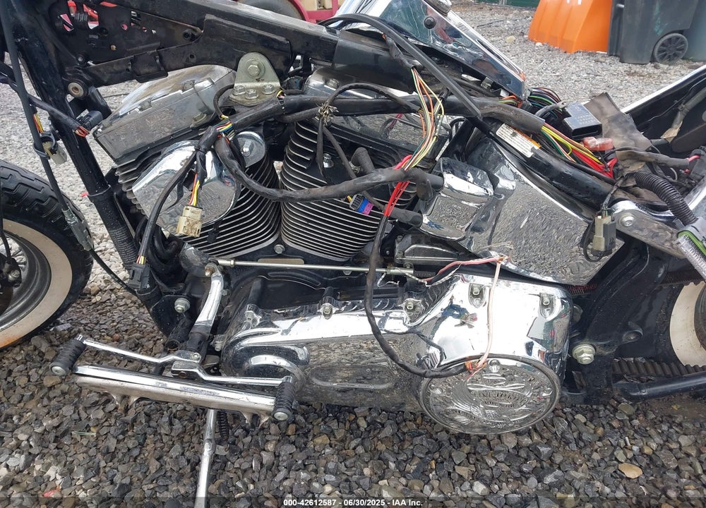 2009 HARLEY-DAVIDSON FLSTN VIN: 1HD1JD5149Y043389