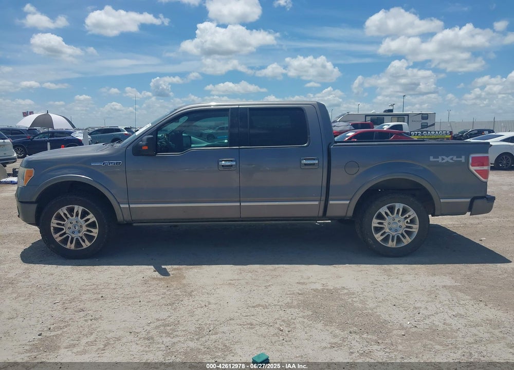 2010 FORD F-150 VIN: 1FTFW1EV4AFD93891