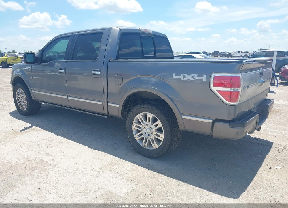 2010 FORD F-150 VIN: 1FTFW1EV4AFD93891