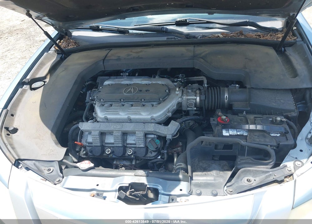 2009 ACURA TL VIN: 19UUA86509A021374