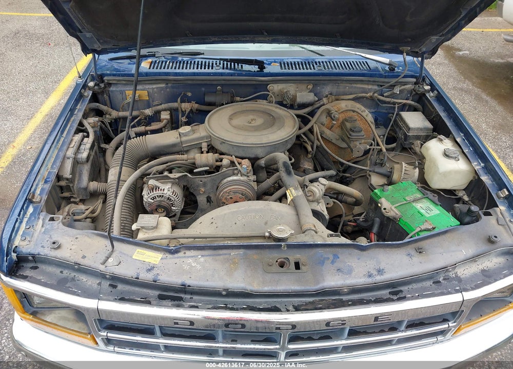 1991 DODGE DAKOTA VIN: 1B7FL23X4MS344642