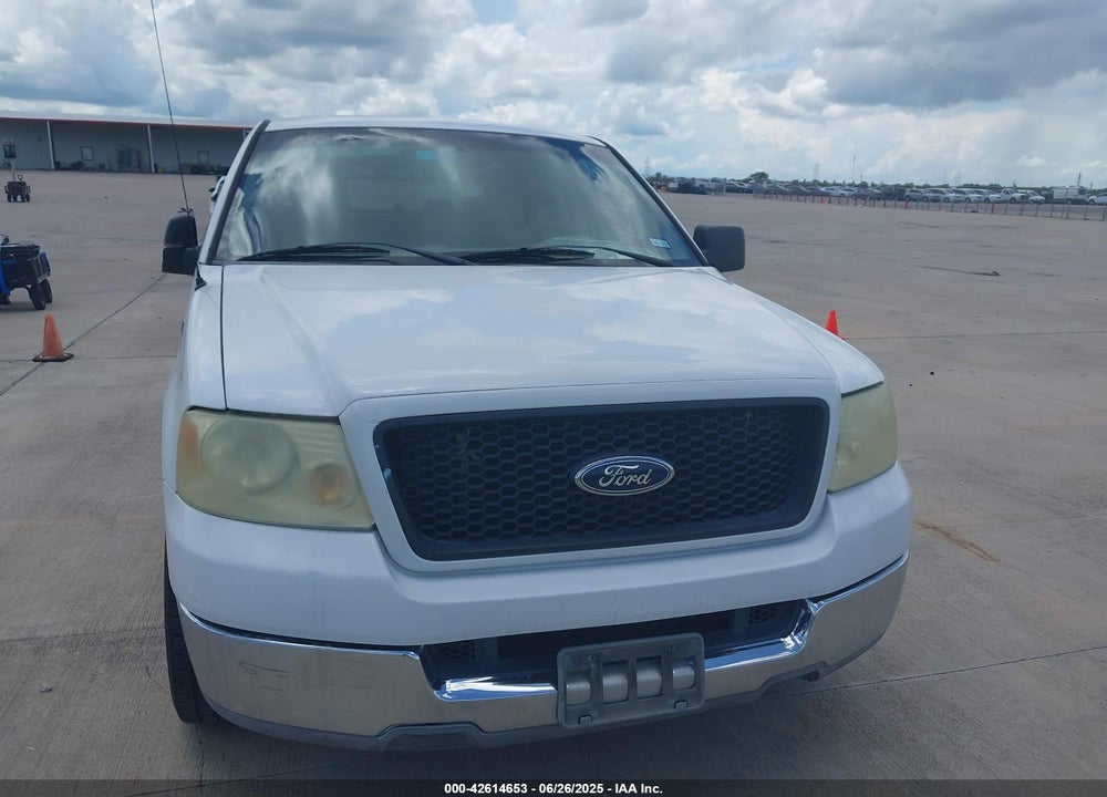 2004 FORD F-150 STX/XL/XLT VIN: 1FTRX12W84NB06070
