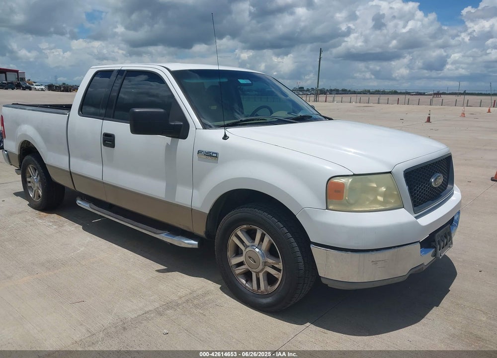 2004 FORD F-150 STX/XL/XLT VIN: 1FTRX12W84NB06070