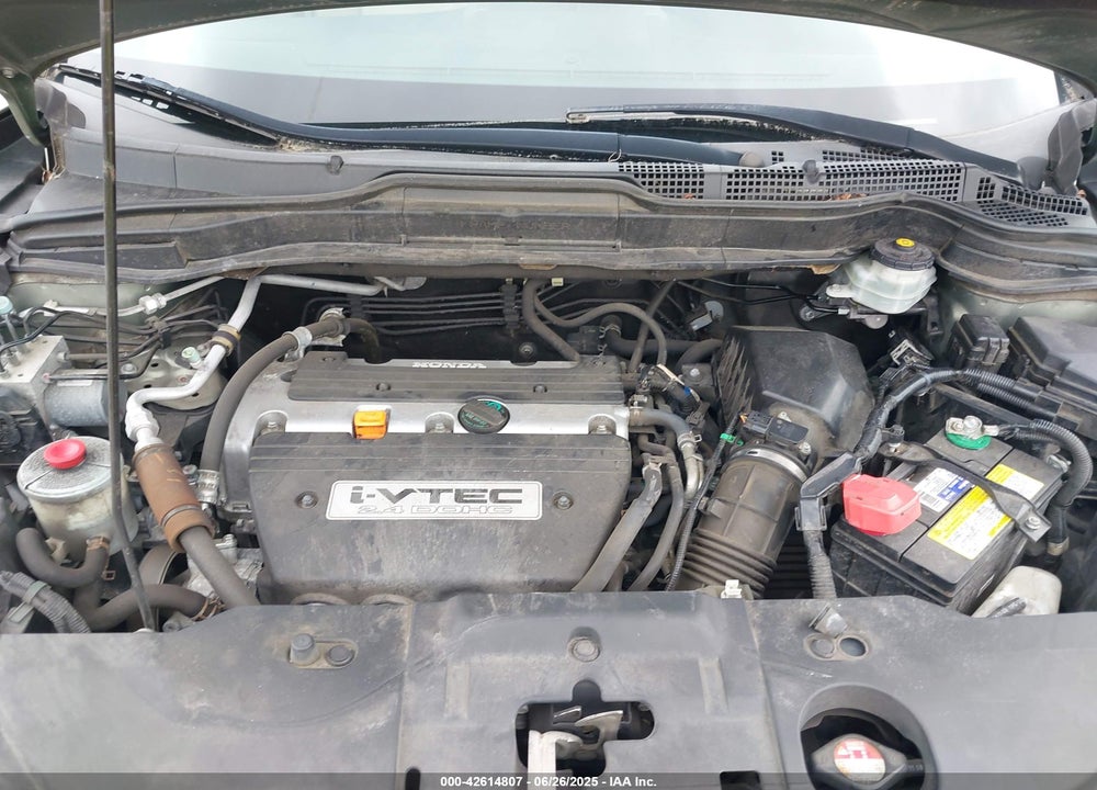 2009 HONDA CR-V VIN: 5J6RE48789L038339