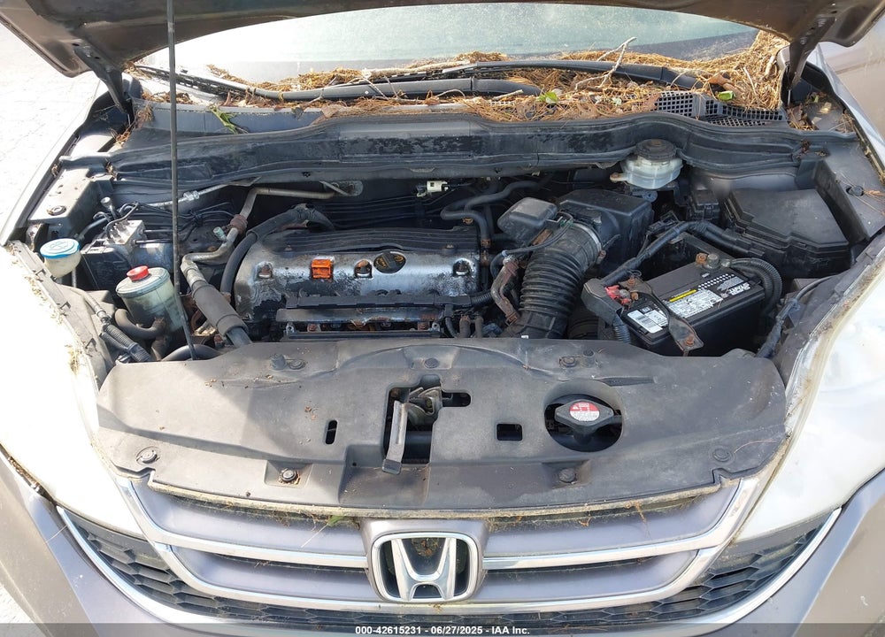 2010 HONDA CR-V VIN: 5J6RE4H74AL066305