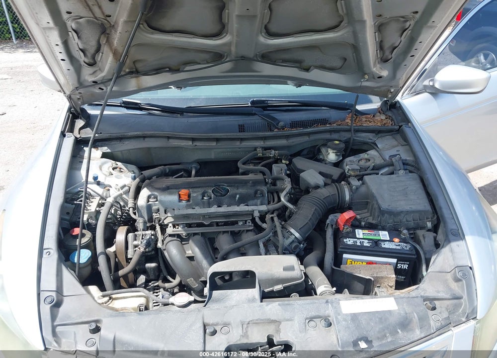 2010 HONDA ACCORD VIN: 1HGCP2F36AA190194