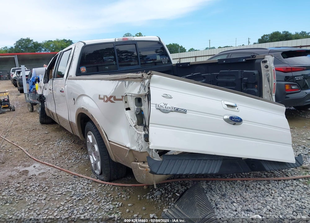2013 FORD F-150 KING RANCH VIN: 1FTFW1ET3DKD79829