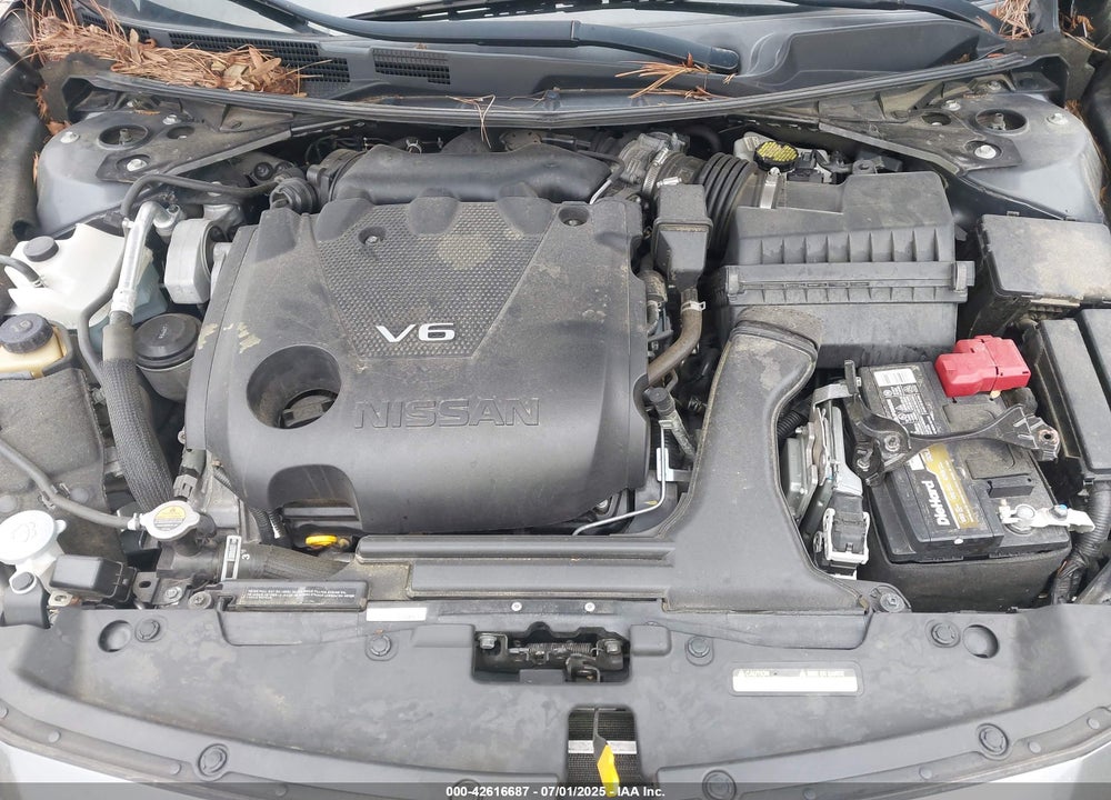 2019 NISSAN MAXIMA VIN: 1N4AA6AV1KC378608