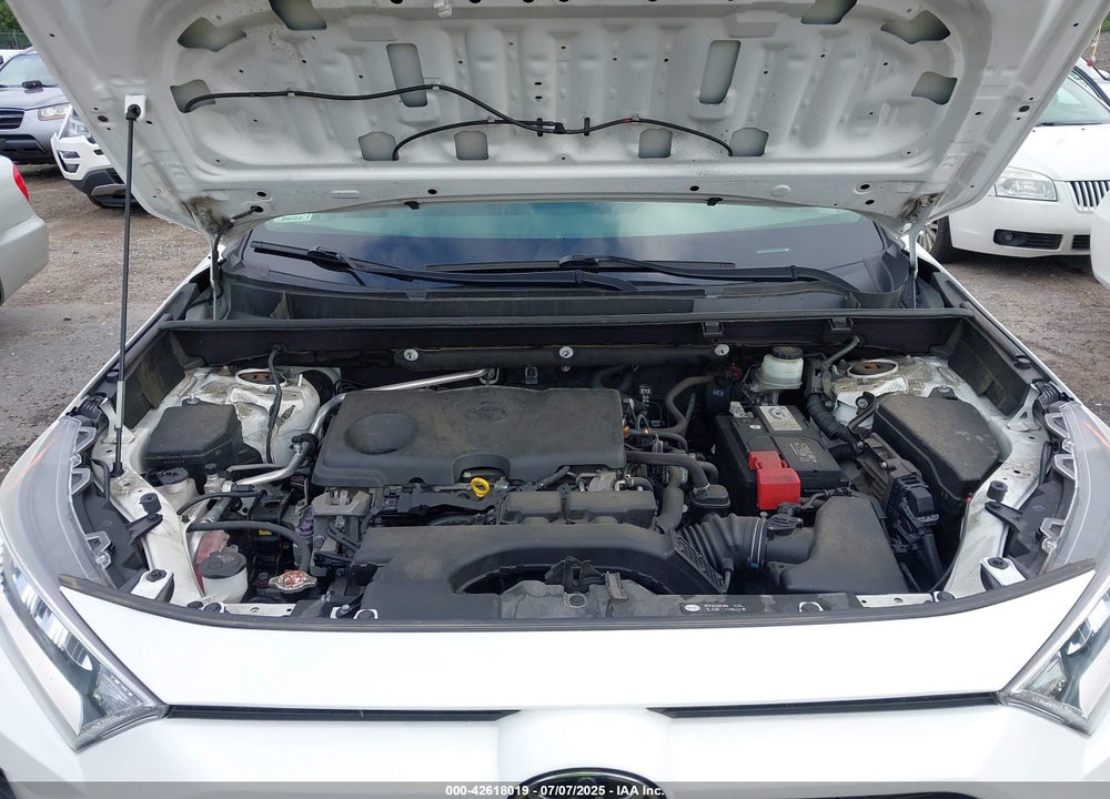 2019 TOYOTA RAV4 VIN: JTMP1RFV6KD515454