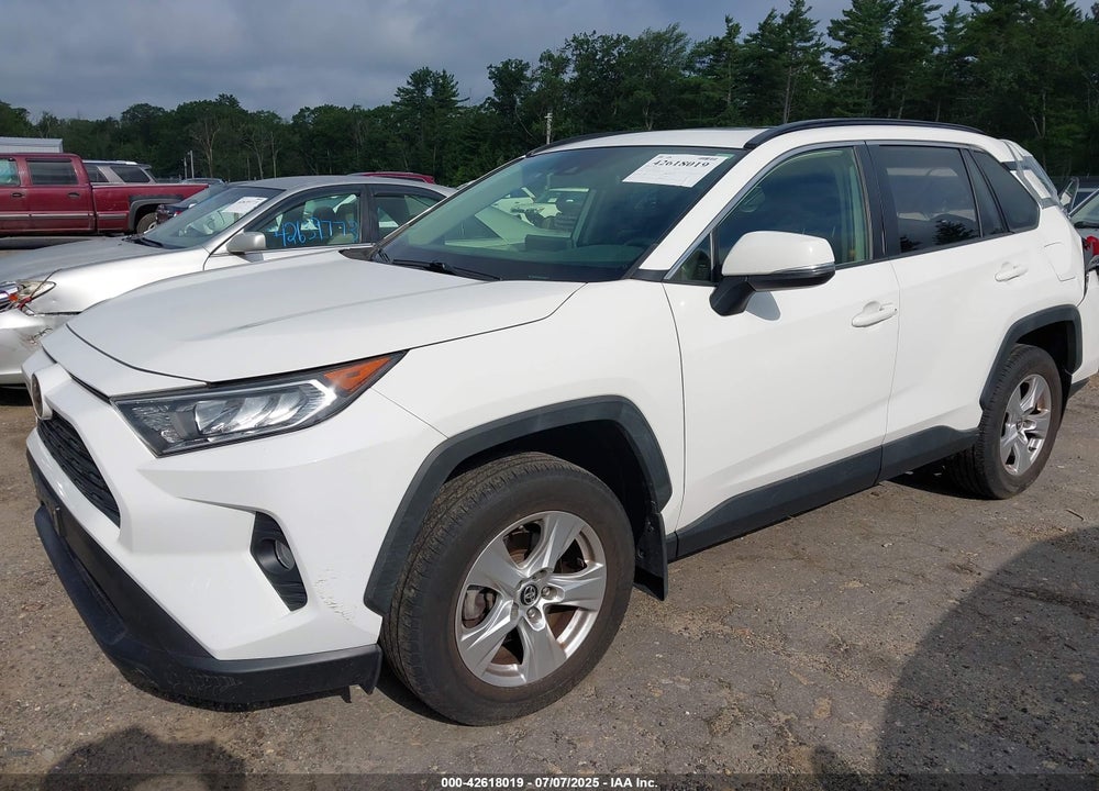 2019 TOYOTA RAV4 VIN: JTMP1RFV6KD515454
