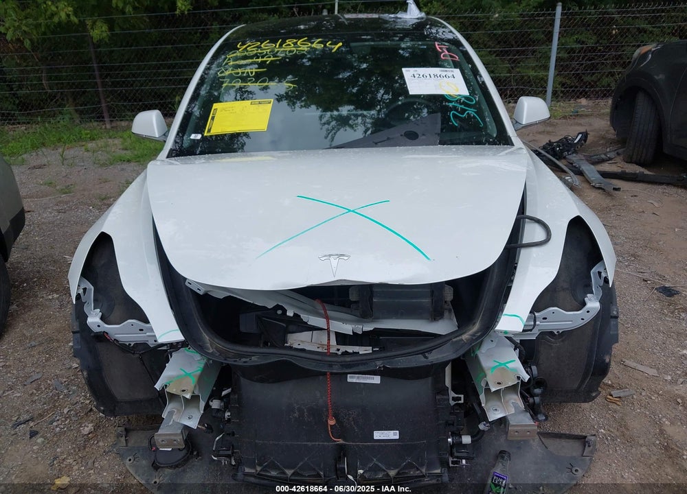 2020 TESLA MODEL 3 VIN: 5YJ3E1EA7LF793065