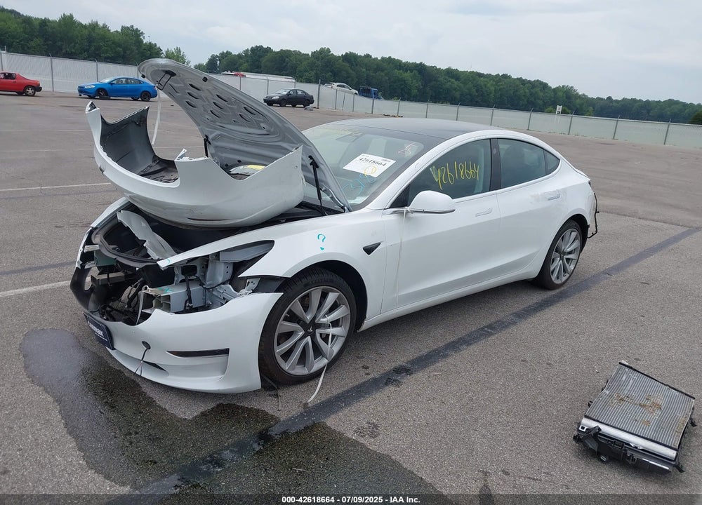 2020 TESLA MODEL 3 VIN: 5YJ3E1EA7LF793065