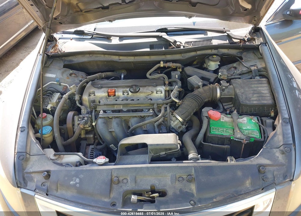2010 HONDA ACCORD VIN: 1HGCP2F41AA034461