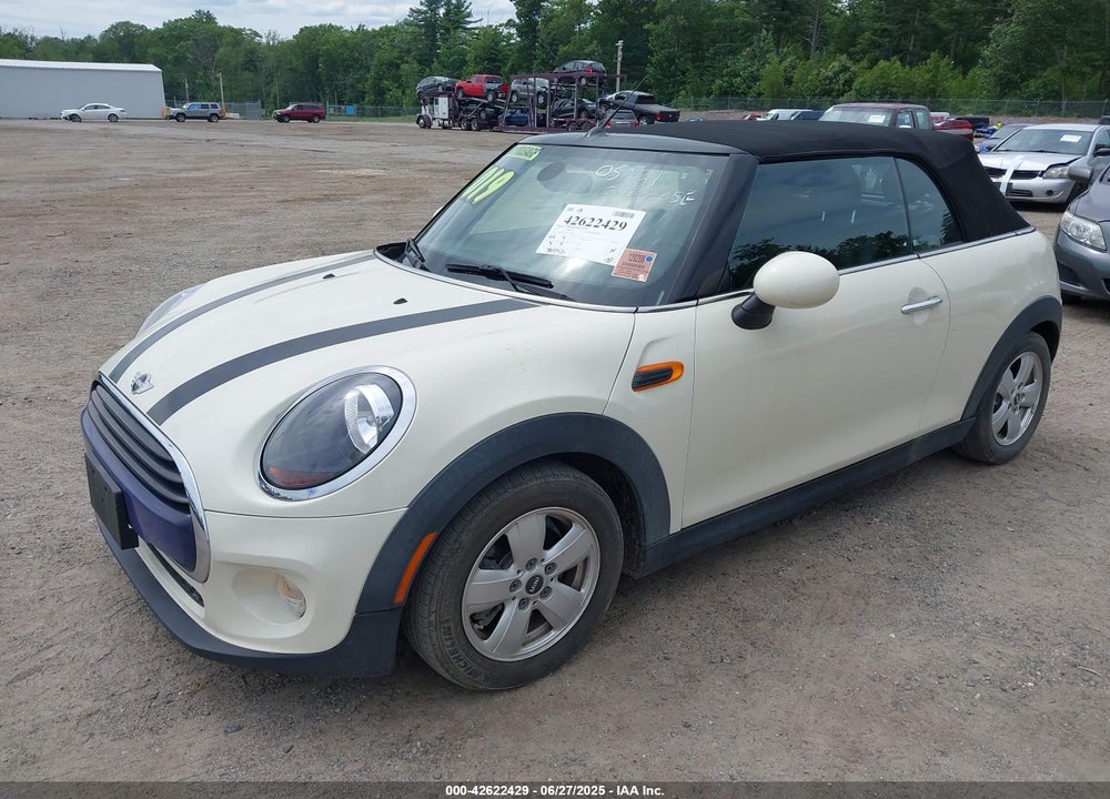 2019 MINI CONVERTIBLE VIN: WMWWG5C52K3F79780