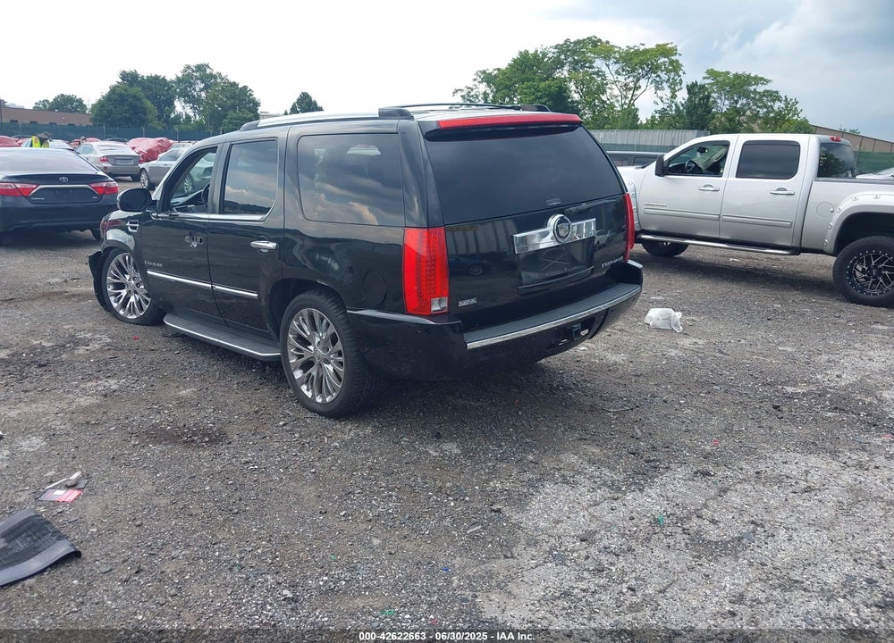 2009 CADILLAC ESCALADE VIN: 1GYFK23209R216656