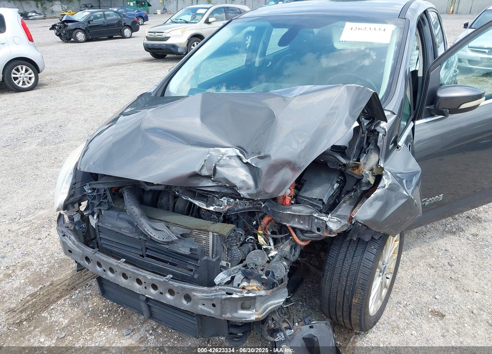 2015 FORD C-MAX VIN: 1FADP5CU3FL103774
