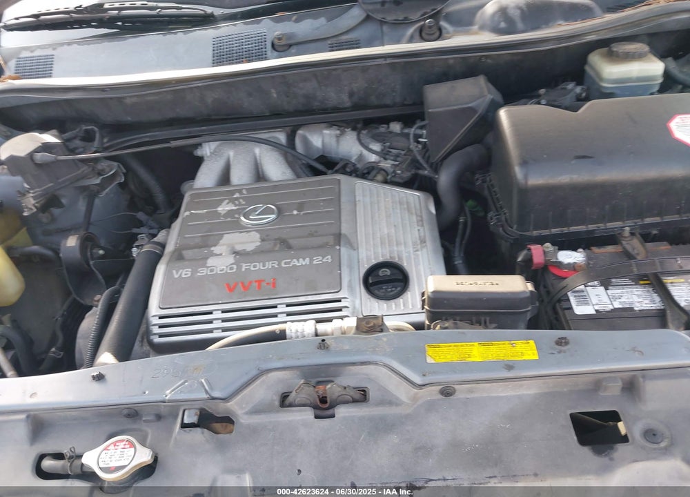 2001 LEXUS RX 300 VIN: JTJGF10U110094278