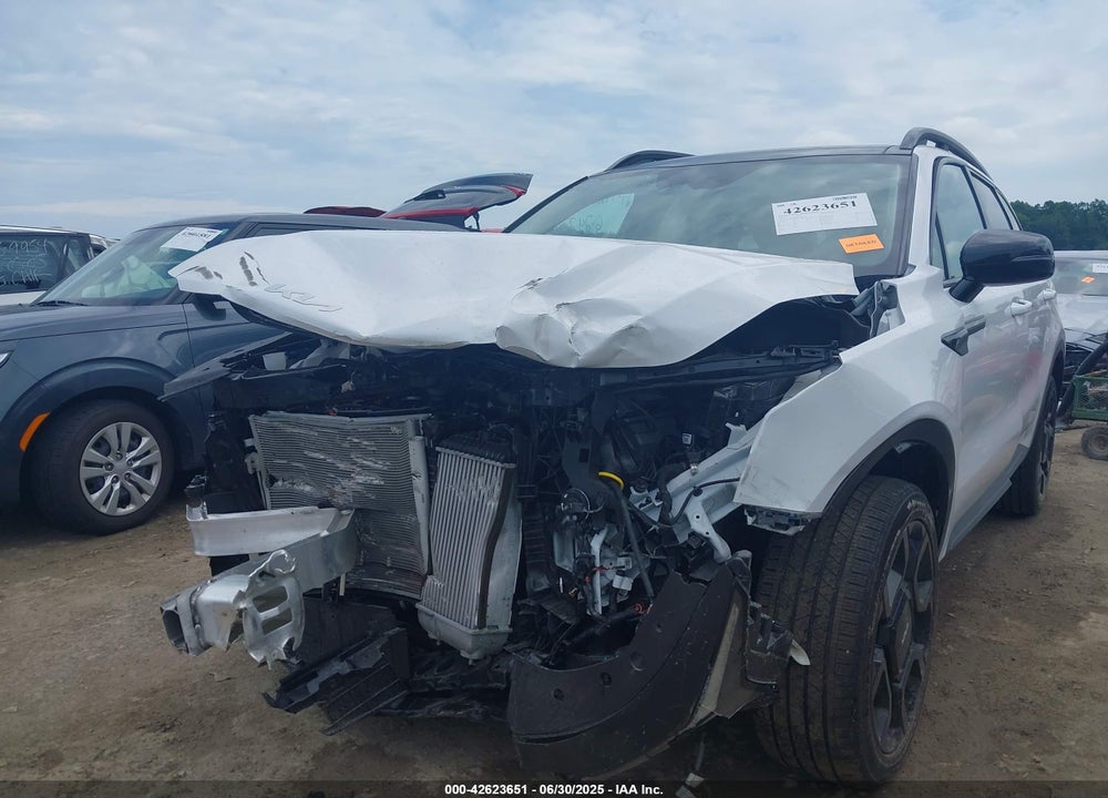 2024 KIA SORENTO VIN: 5XYRHDJF9RG308768