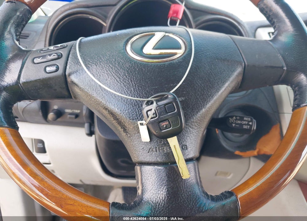 2004 LEXUS RX 330 VIN: JTJGA31U240018243