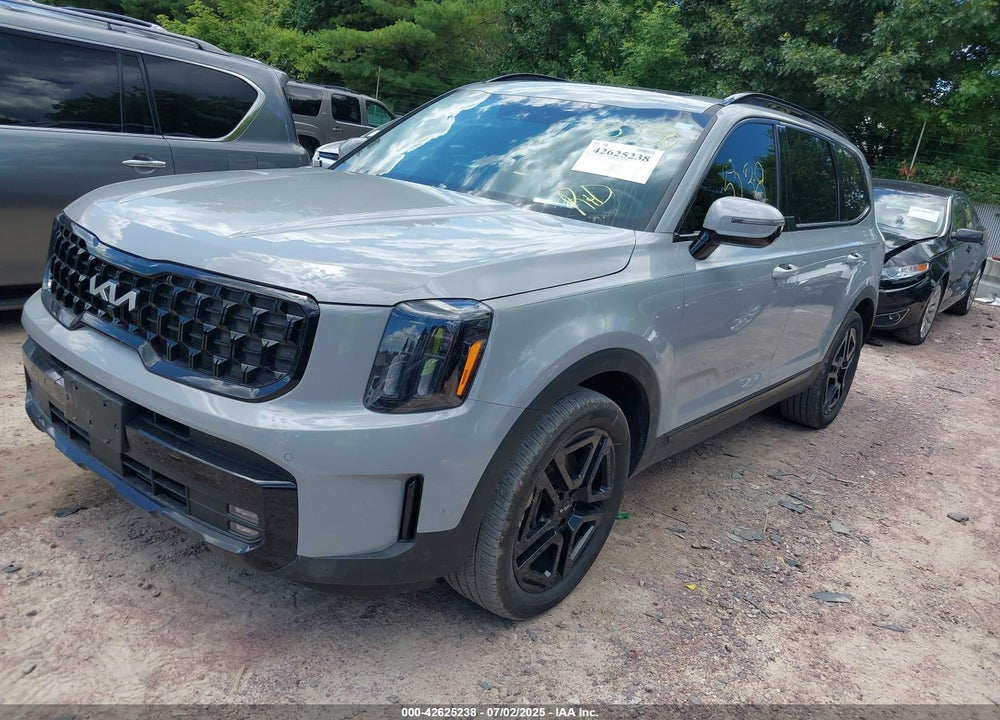 2024 KIA TELLURIDE VIN: 5XYP5DGC0RG460323