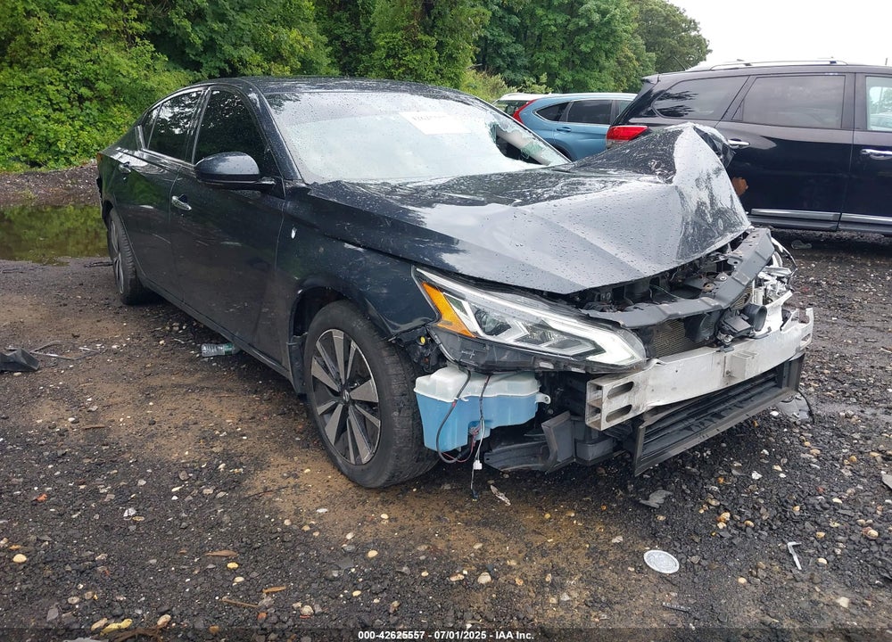 2019 NISSAN ALTIMA 2.5 SV VIN: 1N4BL4DW3KN304909