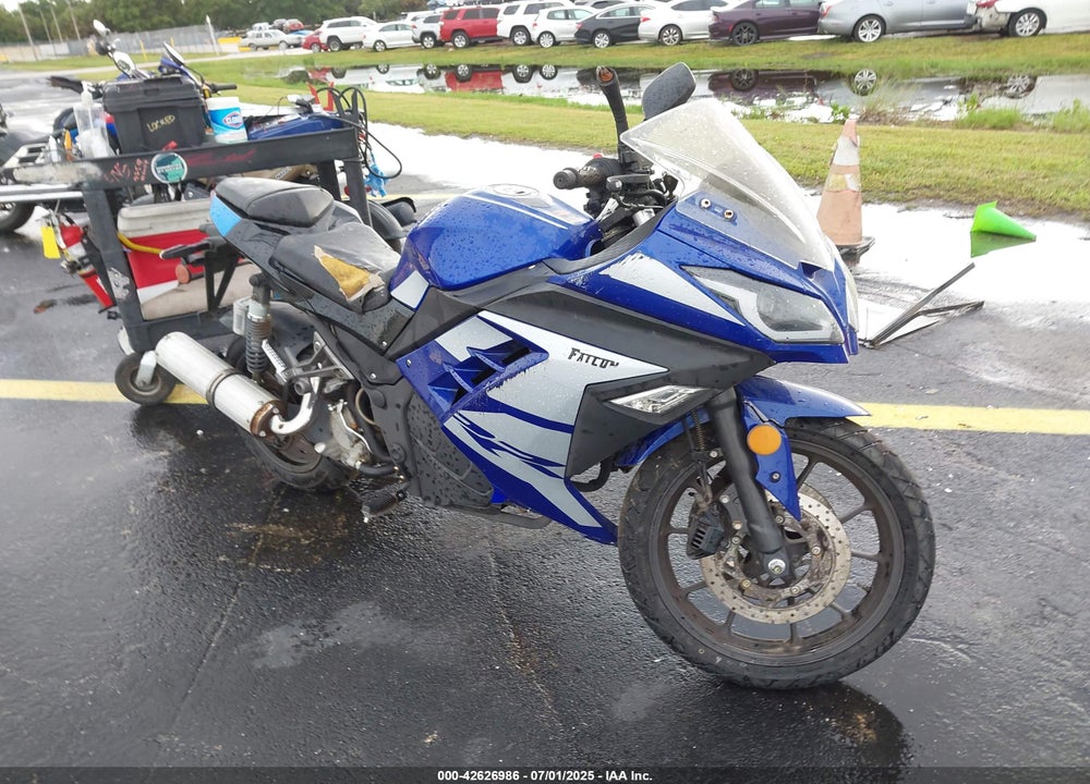 2019 YONGFU FALCON 250 VIN: LL0TDNPE9KY760082
