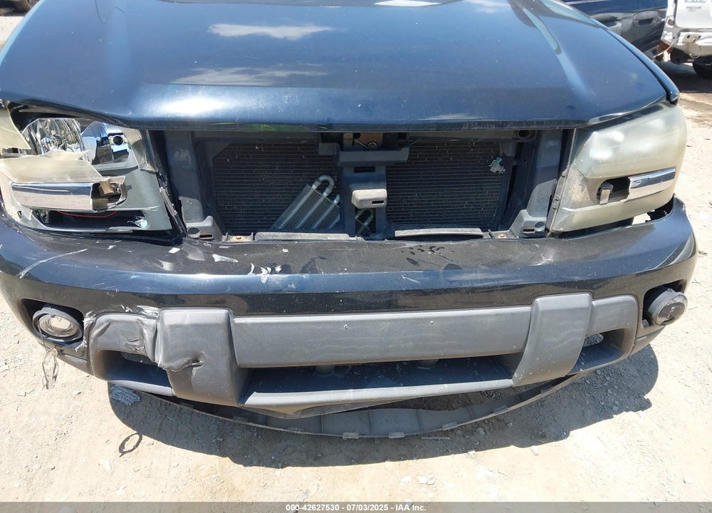 2002 CHEVROLET TRAILBLAZER LT VIN: 1GNDT13S122164500