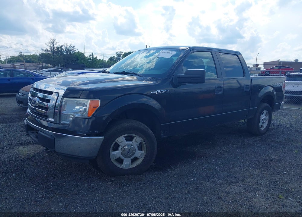 2010 FORD F-150 VIN: 1FTEW1E85AFC37042