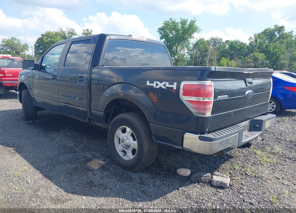 2010 FORD F-150 VIN: 1FTEW1E85AFC37042