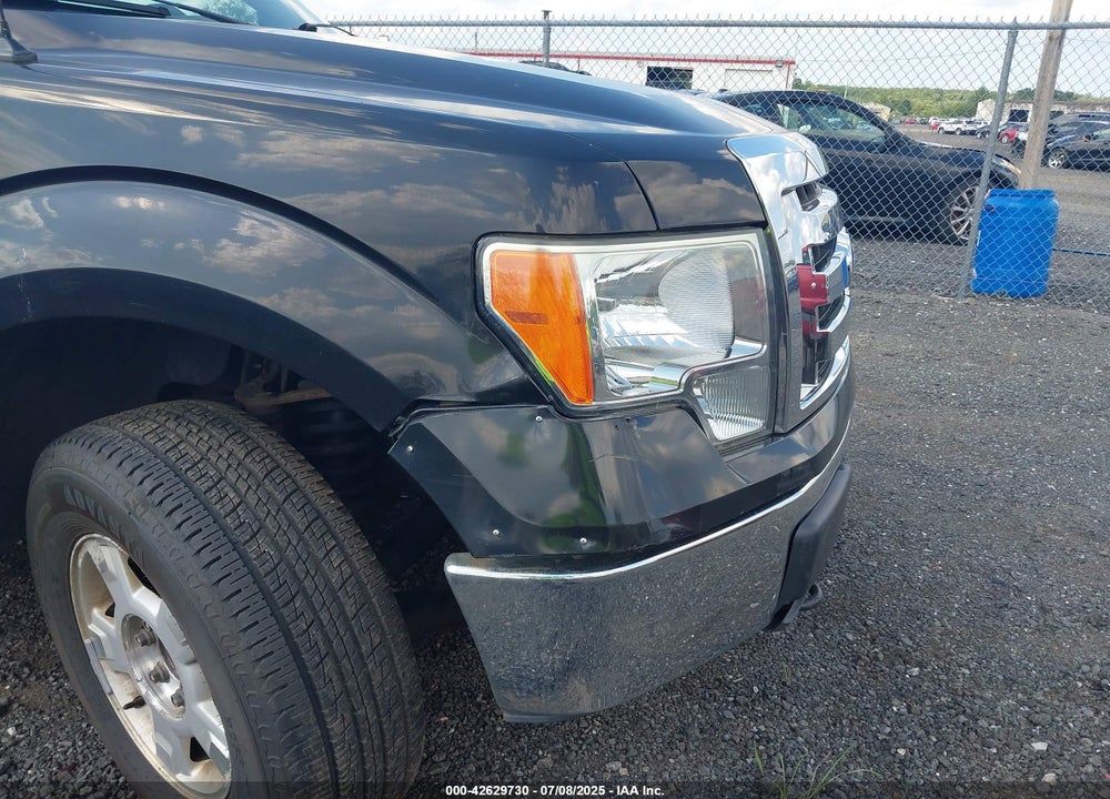 2010 FORD F-150 VIN: 1FTEW1E85AFC37042